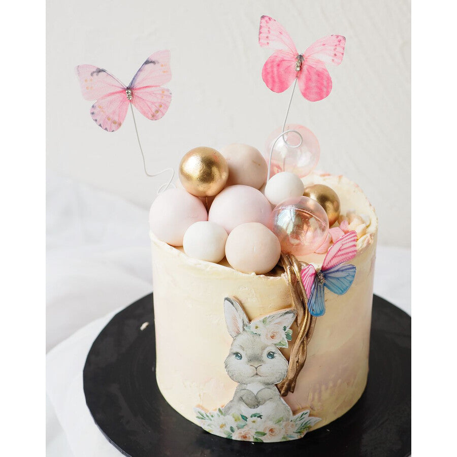 Kaylee Cake | Rabbit Butterfly Birthday Cake